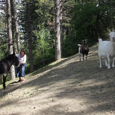 Farm stay Fattoria Belvedere San Lazzaro di Savena