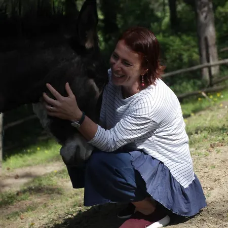 Fattoria Belvedere *