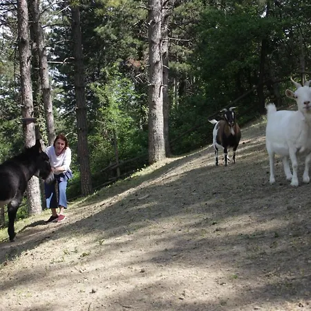 Alloggio per agriturismo Fattoria Belvedere San Lazzaro di Savena