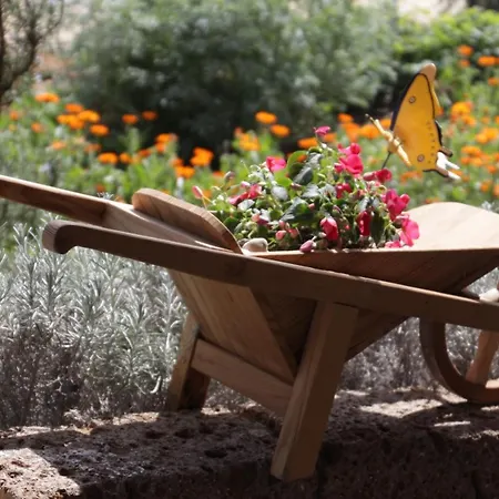 Fattoria Belvedere Bauernhof *