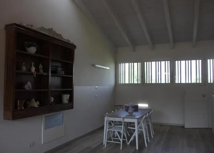 Lantgård Fattoria Belvedere