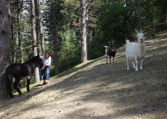 Lantgård Fattoria Belvedere San Lazzaro di Savena