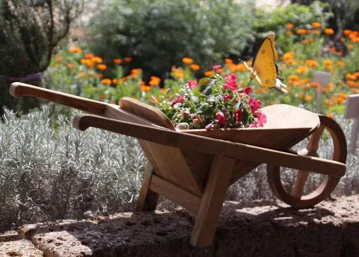 Fattoria Belvedere Lantgård *