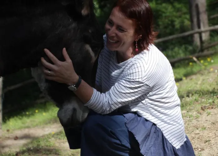 Fattoria Belvedere *